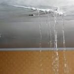 Roof Leak